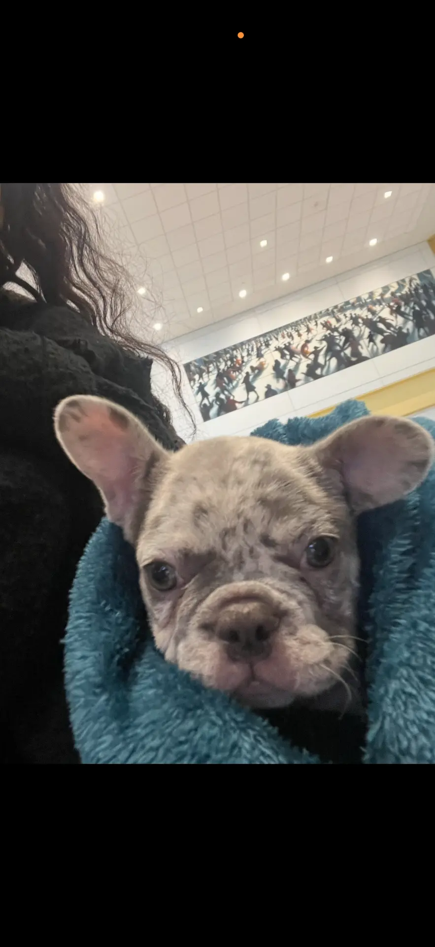 Cozy in a blanket, straight off the plane