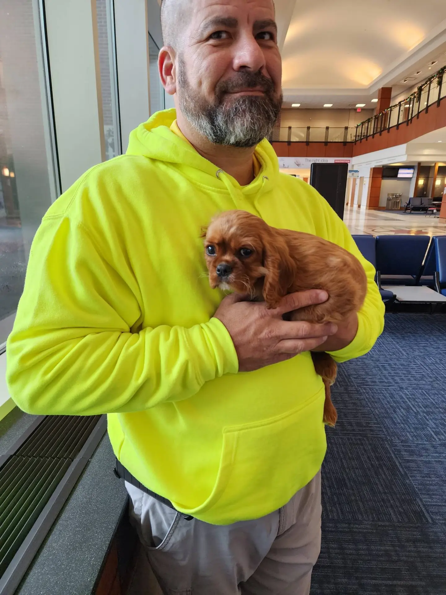 A tiny Cavalier safe in caring hands at the airport