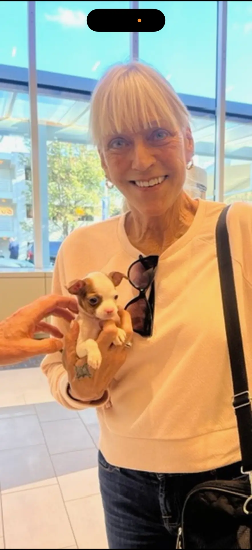 A tiny traveler safe in my hands at arrivals