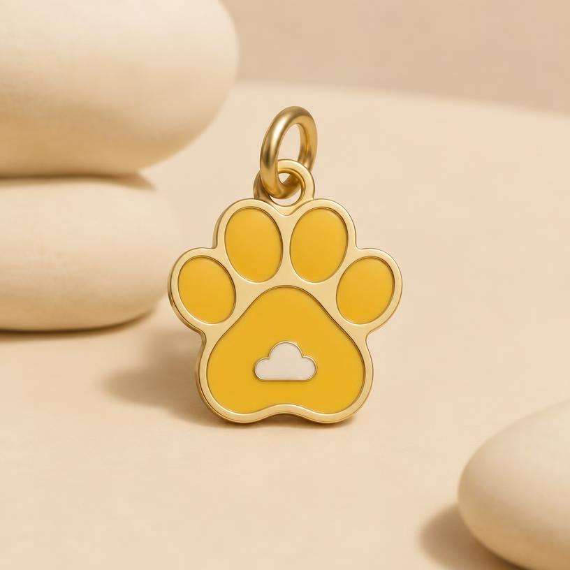 Sunshine ID Tag